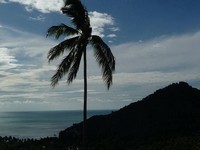 03-200-studio apartment-vue de la mer a l'horizon de la baie vitree-